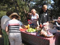 fixins_table