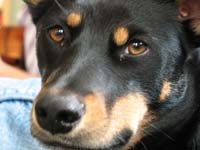 glamour_shot