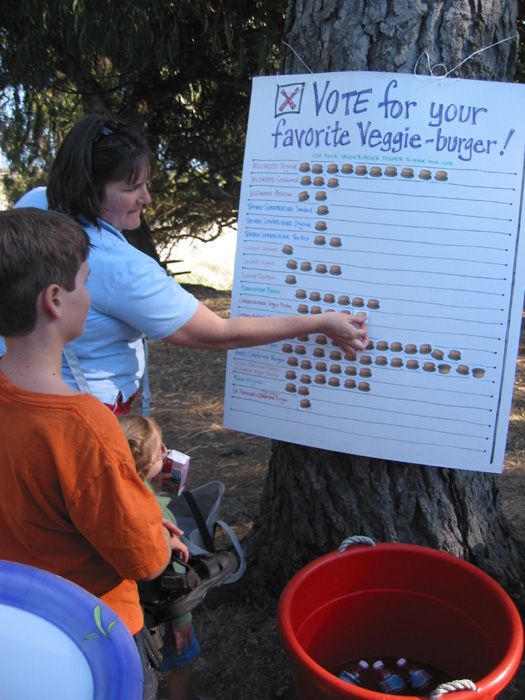 voting4