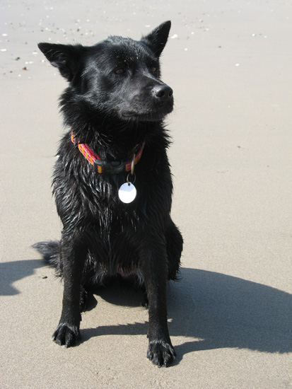 good_girl