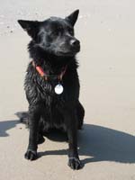 good_girl